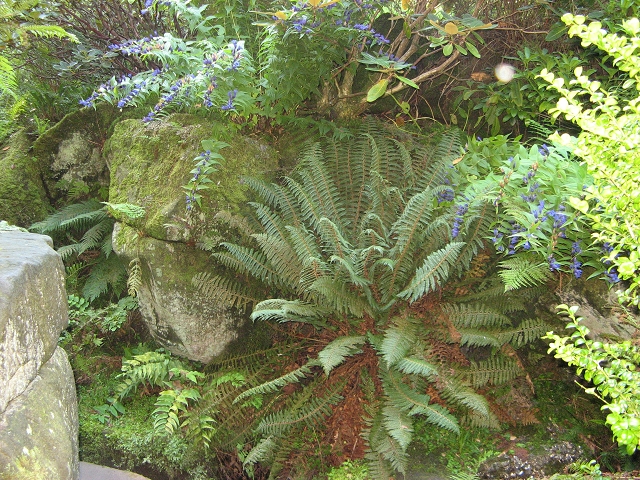 Biddulph Grange